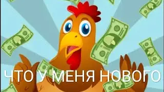 ПТИЦЕВОД: ЧТО У МЕНЯ НОВОГО?