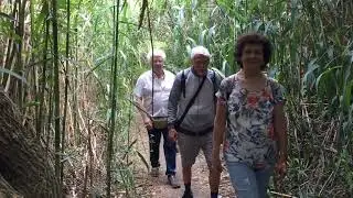 Bolsena luglio 2024