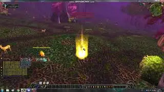 Попытка приручить пета (Uwow, MoP)