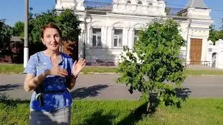Цветочное наследие