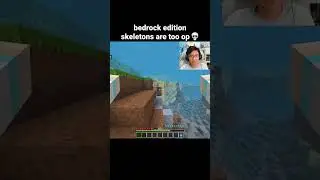 Minecraft Bedrock Skeleton Moment
