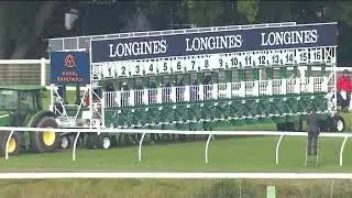 Sacred Field 1st Start  @ Randwick