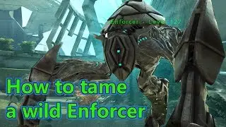 HOW TO TAME A WILD ENFORCER★ARK Survival Evolved Extinction★