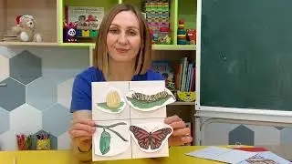 ПОзнаю мир  "Насекомые 1"