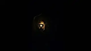 IZS - "Terrible night"