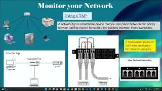 Synopsis Wireshark Udemy Class