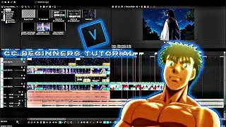 SVP Beginners CC(Color Corrector ) Tutorial