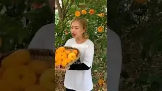 🤩😱Farm Fresh Ninja Fruit | Ajoyib |Вы еще этого не видели😍#mr