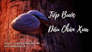Tiếp bước dấu chân xưa