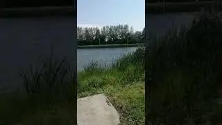 пруд Белгородская облать