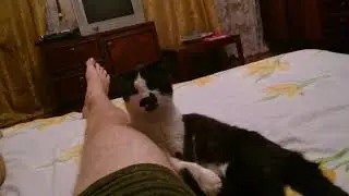 Вася