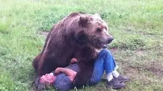 ХИРСИ ВАХШИ ХАМАРО КУШТ  HIRSI VAHSHI  HAMARO KUSHT
