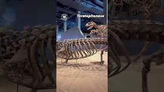 Murderers’ Row Late Cretaceous Style: Deinosuchus and Teratophoneus