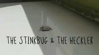 The Stinkbug And The Heckler