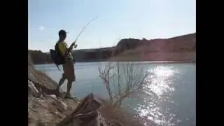 Кипр, солнышко, басс на оснастку Wacky Worm