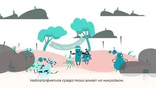 Скажи пока не совершенствам. Biomica:  очищение и баланс