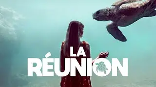 LA RÉUNION / LA CLINIQUE DES TORTUES MARINES 🐢