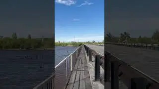 р. Томь, Вид с Бочкаревского  моста, г. Белогорск Амурская Область (22.05.24)
