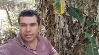 UM AVISO ESTOU DEIXANDO O LUGAR POR UM TEMPO VOU PASSA UN ANU LONGE DE CASA
