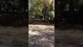 Ещё одна чистая площадка