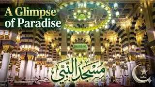 Masjid nabawi inside view | مسجد نبوی کا اندرونی منظر #masjidnabawi #madina #islam #islamic