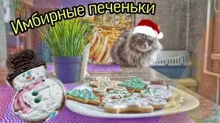 Имбирное рождественское печенье (Gingerbread Cookie)