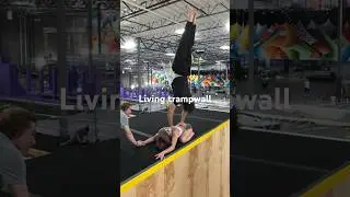 Have you ever seen this? #trampwall #trampoline #sucess #circus