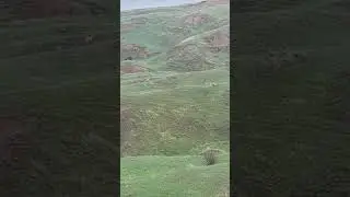 12 Mayıs 2024