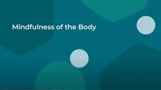 Guided Meditation | Mindfulness of the Body