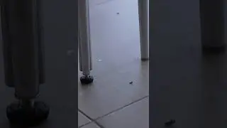 НАДОЕЛО?