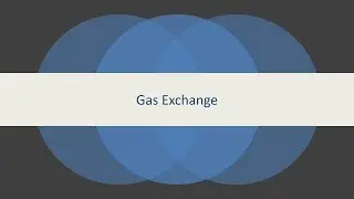 Biology - GCSE Biology - Higher - Gas Exchange |