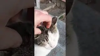 Китайская мудрость 😁