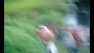 di Paksa BUGIL