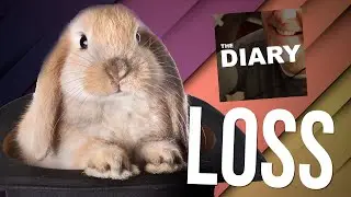 The Diary: Loss