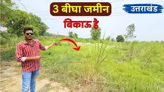 Land for Sale 3 बीघा | नदी  के पास , रोड के पास  | उत्तराखंड
