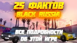 25 ФАКТОВ О ИГРЕ BLACK RUSSIA