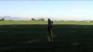 Aerodance B-MX2(Funny)