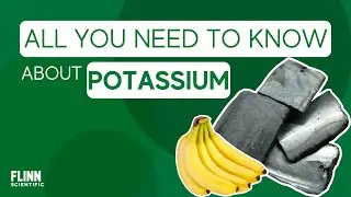 Potassium: Everything You Need to Know