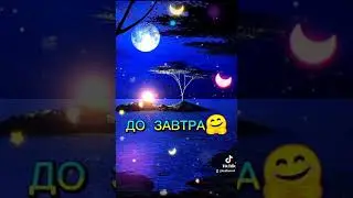 Спокойной ночи. До завтра!