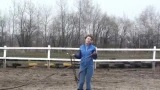 Гамлет и Настя, Вика