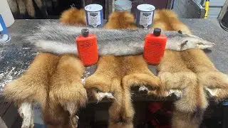 How to Tan Hides (PART 2)