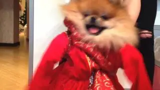 День окончания школы