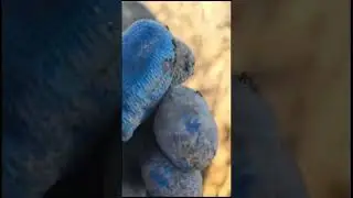 Металлоискатели в Казахстане, Алматы.