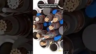 The most expensive submarine cable in the world