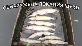 ОБНАРУЖИЛ ЛОКАЦИЮ ПОЛОСАТИКОВ!ПОЙМАЛ ПУШИСТИКА!