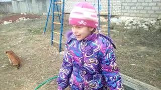 У коровы Милки течка 🙄