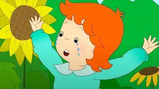 Rosie Gets Lost | Caillou Cartoon