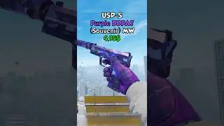 BEST USP-S Skins under 5$ 