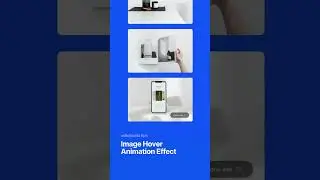 Image Hover Animation Effect | solidpixels tips