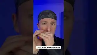 Country vibes on Obaa Sima by Fireboy DML 😍 #harmonica #afrobeats